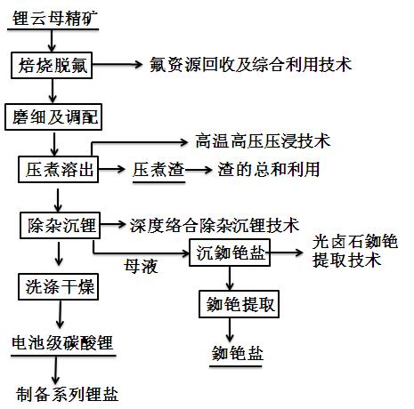 锂云母氯化钠压浸法及资源综合利用工艺流程图